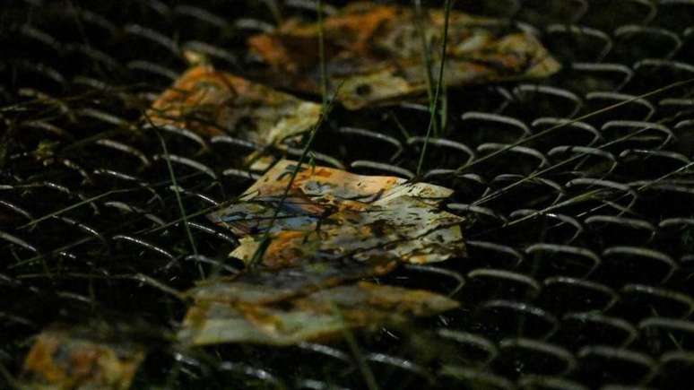 Notas ficaram espalhadas no local do acidente