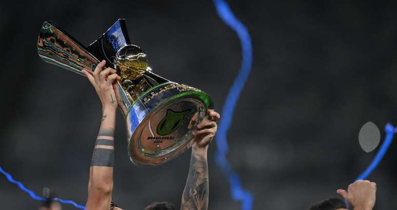 Ta&ccedil;a do Brasileir&atilde;o 