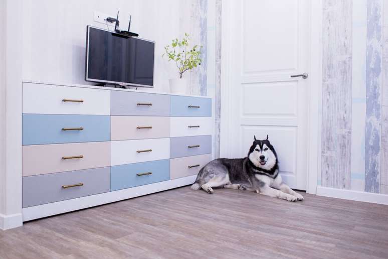 O tipo de piso influencia diretamente na seguran&ccedil;a dos animais 