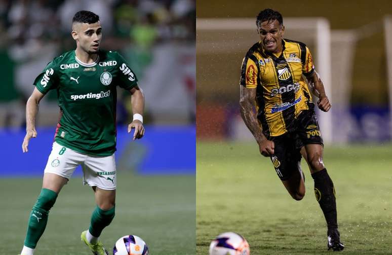 Palmeiras e Novorizontino fazem a final do Paulist&atilde;o