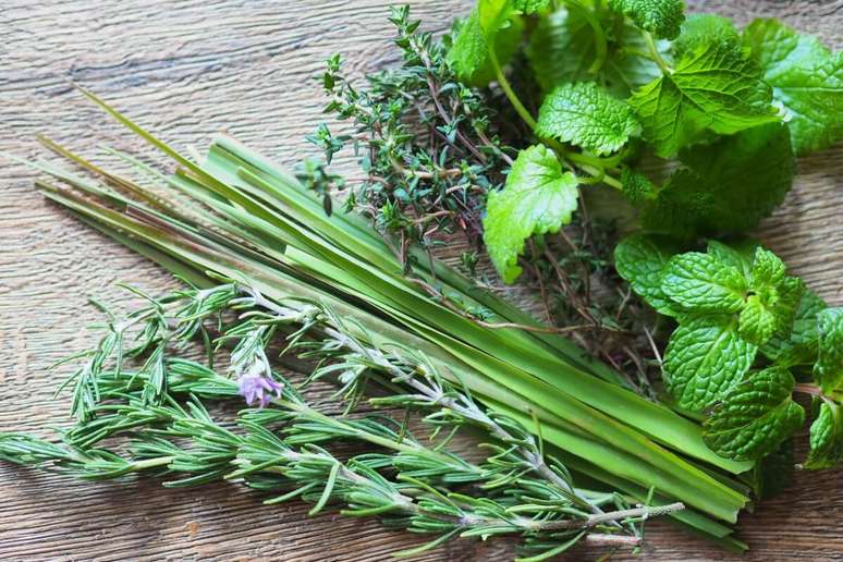 O banho de capim-lim&atilde;o com alecrim e hortel&atilde; &eacute; indicado para momentos em que &eacute; necess&aacute;rio tomar decis&otilde;es importantes 