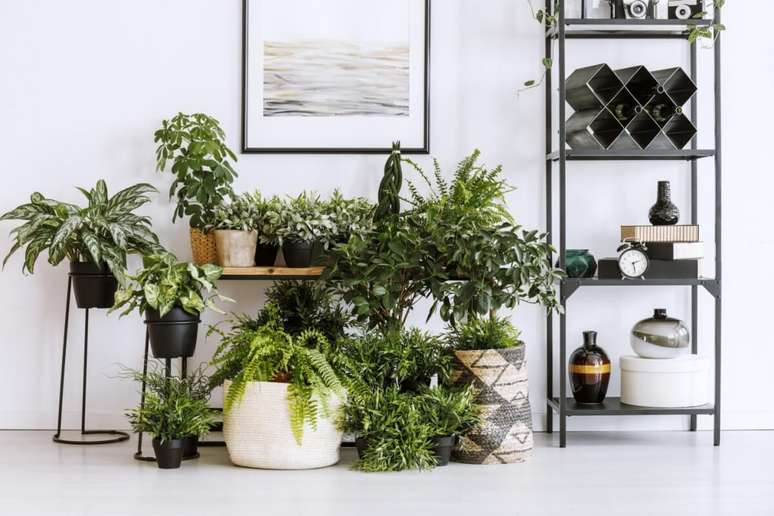 Al&eacute;m de valorizar as plantas, utilizar variados estilos de vasos e suportes decorativos ajuda a deixar o ambiente mais vivo 