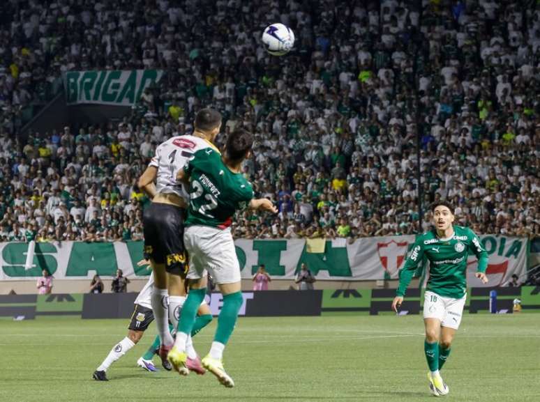 Palmeiras e Novorizontino decidem o t&iacute;tulo do Paulist&atilde;o em dois jogos