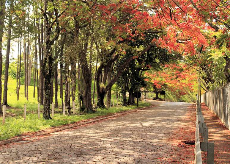 ప్రధాన ఆకర్షణలలో కాకోండే రిజర్వాయర్, పడవ ప్రయాణాలు, స్పోర్ట్ ఫిషింగ్ మరియు వాటర్ స్పోర్ట్స్, స్టాండ్ అప్ పాడిల్ మరియు కయాకింగ్ వంటి వాటికి ప్రసిద్ధి చెందింది - పెడ్రో హెన్రిక్ పొంచియో/వికీమీడియా కామన్స్