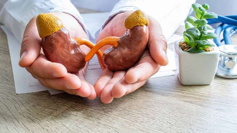 వ్యాధిగ్రస్తులైన మూత్రపిండాల పనితీరును ఆరోగ్యకరమైన మూత్రపిండాలతో భర్తీ చేయడానికి మార్పిడి ప్రత్యామ్నాయంగా కనిపిస్తుంది – depositphotos.com / Shidlovski