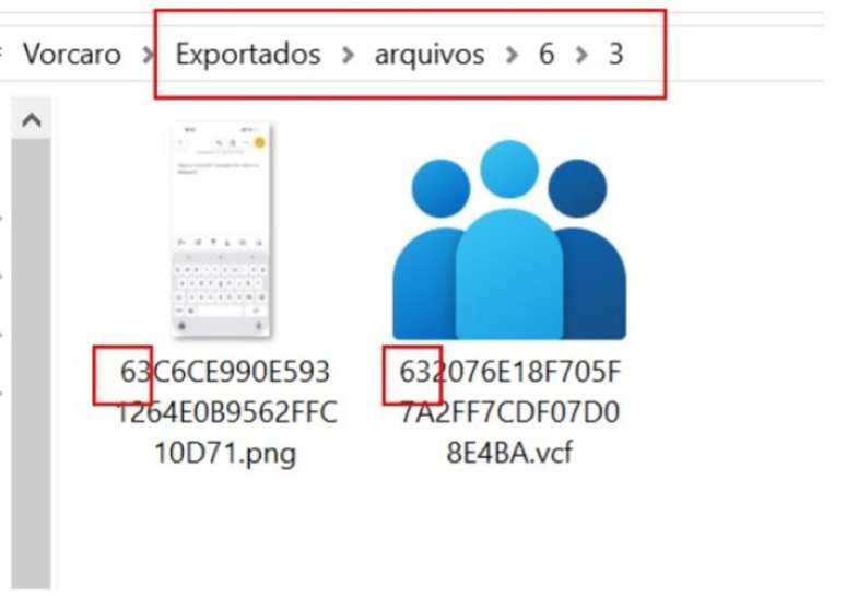 O arquivo de um print de texto, com formato PNG, feito por Vorcaro est&aacute; na mesma pasta que o arquivo de contato VCF atribu&iacute;do a Viviane Barci; n&atilde;o h&aacute; rela&ccedil;&atilde;o de conte&uacute;do entre os dois, apenas que o in&iacute;cio da sequ&ecirc;ncia alfanum&eacute;rica do hash coincide