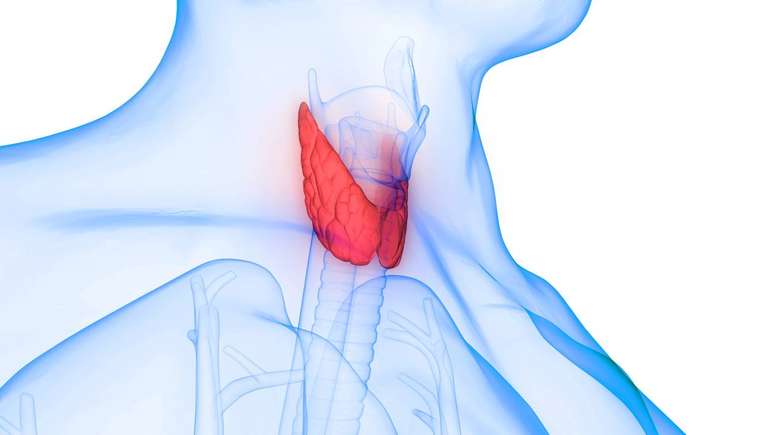 Perda de peso r&aacute;pida, palpita&ccedil;&otilde;es, tremores e olhos saltados podem ser sinais da Doen&ccedil;a de Graves &ndash; depositphotos.com / magicmine