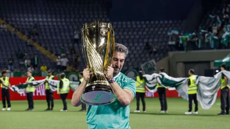 Palmeiras quer ergue ta&ccedil;a do Paulist&atilde;o pela 27&ordf; vez e Novorizontino, pela primeira vez em nova era, iniciada em 2010