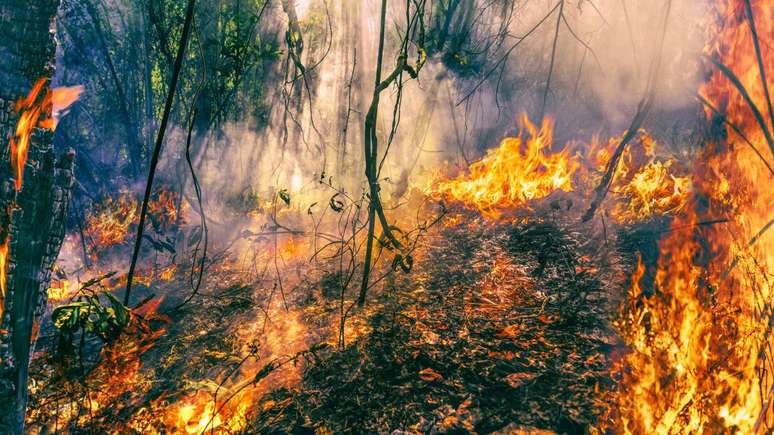 A preven&ccedil;&atilde;o de inc&ecirc;ndios florestais que se associam a fogueiras depende de atitudes b&aacute;sicas, mas consistentes &ndash; depositphotos.com / toa55