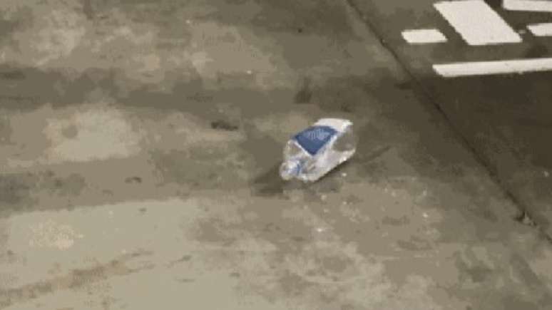 Garrafa jogada pelo cantor