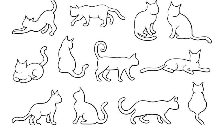 A chamada doen&ccedil;a da arranhadura do gato est&aacute; ligada &agrave; bact&eacute;ria Bartonella henselae, que pode provocar &iacute;nguas e febre ap&oacute;s contato com gatos infectados &ndash; depositphotos.com / Nextgen66666