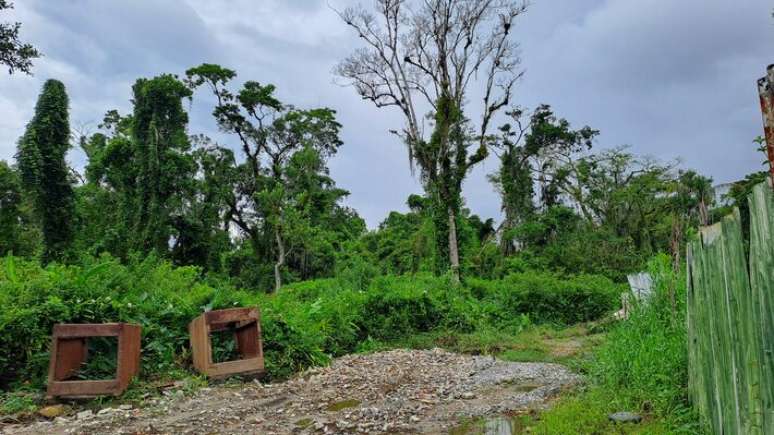 &Aacute;reas desmatadas s&atilde;o cobertas com entulhos e restos da constru&ccedil;&atilde;o civil para iniciar 'pavimenta&ccedil;&atilde;o' de ruas e acesso em Camburi, litoral norte de S&atilde;o Paulo
