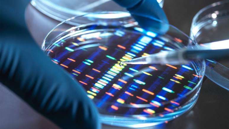 O DNA pode armazenar enorme quantidade de dados e suas necessidades de conserva&ccedil;&atilde;o n&atilde;o consomem muita energia