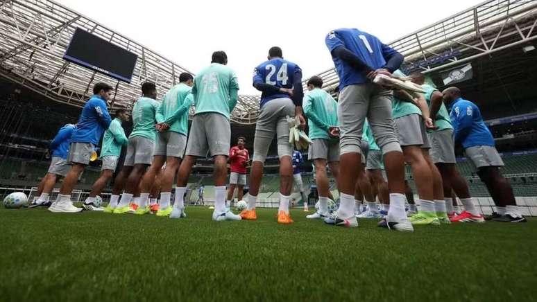 Palmeiras j&aacute; treinou e aprovou novo gramado do Allianz &ndash;