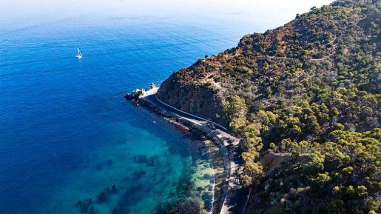 O litoral da ilha Catalina, na Calif&oacute;rnia (EUA) &eacute; repleto de florestas de algas &mdash; e de sereias