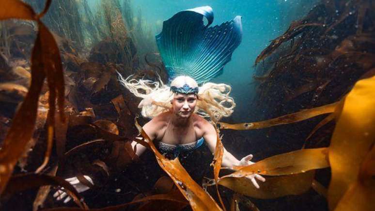 O litoral da Cornualha &eacute; repleto de vida marinha e sereias medievais