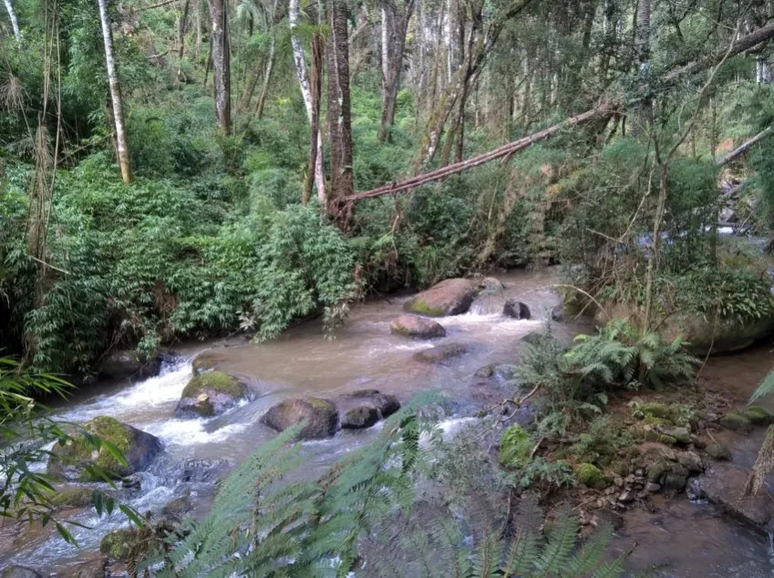 C&oacute;rrego do Cadete, em Monte Verde &ndash; Divulga&ccedil;&atilde;o