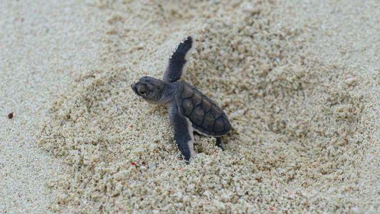 O melhor tipo de esperan&ccedil;a &eacute; aquele que leva voc&ecirc; a arrega&ccedil;ar as mangas e fazer a sua parte para melhorar o mundo