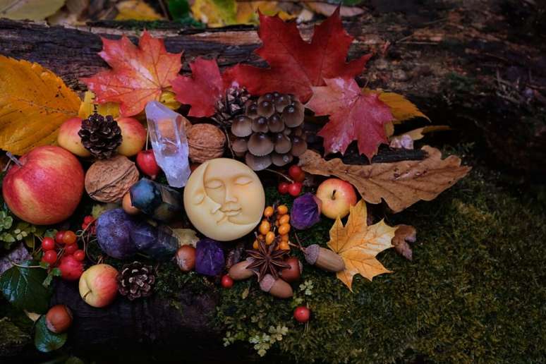 Ao celebrarmos o outono, honramos a dan&ccedil;a cont&iacute;nua entre abund&acirc;ncia e entrega, crescimento e recolhimento, luz e sombra 