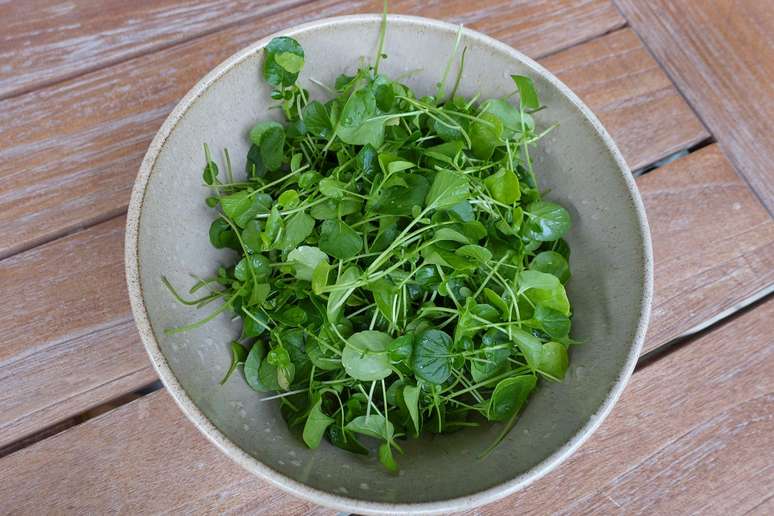 O agri&atilde;o preserva as fun&ccedil;&otilde;es imunol&oacute;gicas e pode ajudar a reduzir inflama&ccedil;&otilde;es, entre outros benef&iacute;cios