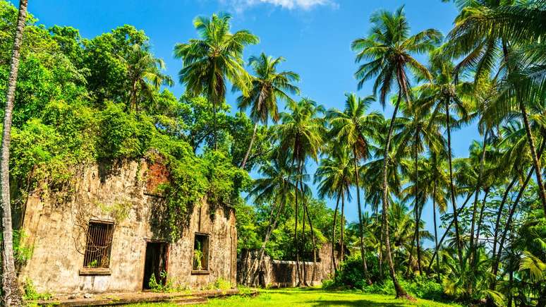 Ilha das Guianas &ndash; depositphotos.com / Leonid_Andronov