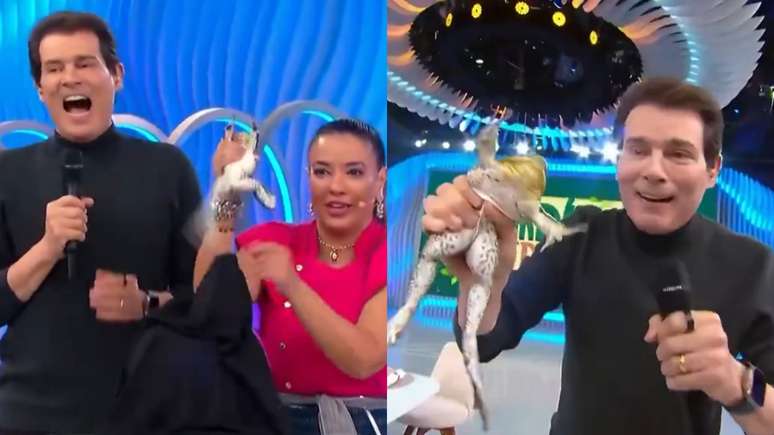 డొమింగో లీగల్‌పై సెల్సో పోర్టియోల్లి (పునరుత్పత్తి/SBT)