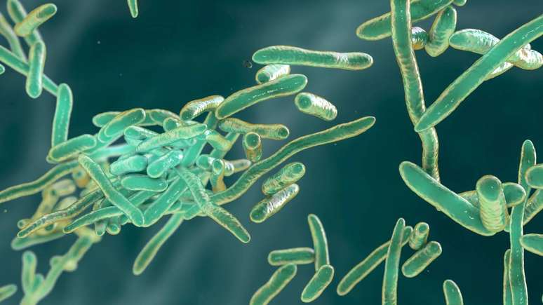 As causas mais comuns de pus est&atilde;o ligadas a infec&ccedil;&otilde;es por bact&eacute;rias, em especial as que colonizam a pele e as mucosas &ndash; depositphotos.com / katerynakon