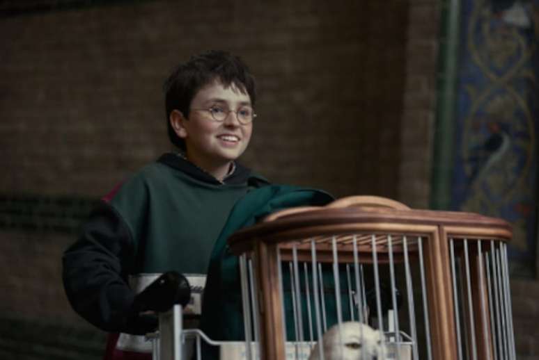 Dominic McLaughlin como Harry Potter