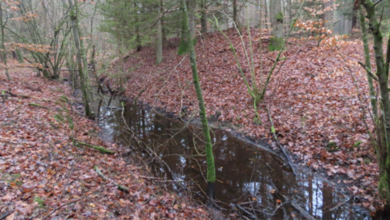 Local do fosso e das muralhas