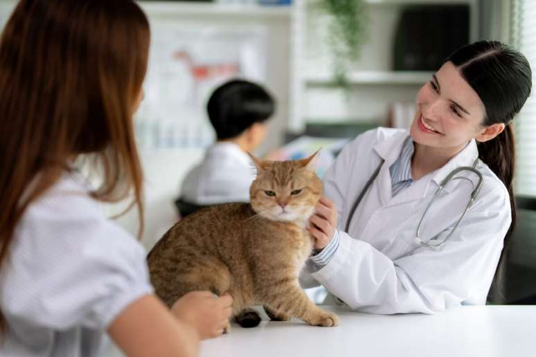 Respeitar o calend&aacute;rio de vermifuga&ccedil;&atilde;o &eacute; fundamental para evitar os parasitas 