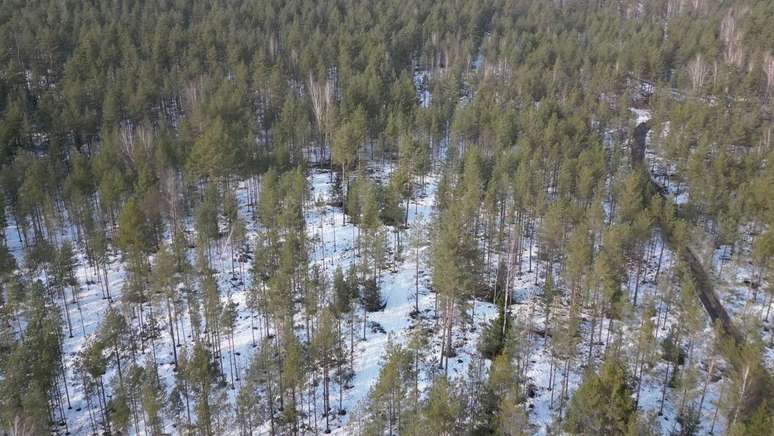 A Grande Plan&iacute;cie Europeia foi atravessada por muitos ex&eacute;rcitos