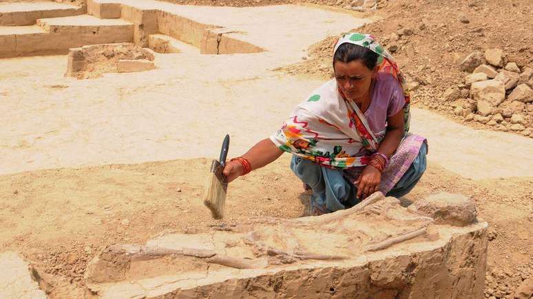 Foram encontradas menos les&otilde;es cranianas nos s&iacute;tios funer&aacute;rios do Vale do Indo do que em outras sociedades