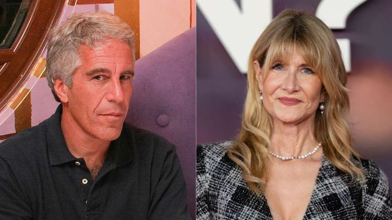 Crimes de Jeffrey Epstein ser&atilde;o tema de s&eacute;rie protagonizada por Laura Dern (Rick Friedman/Corbis via Getty Images/Samir Hussein/WireImage)
