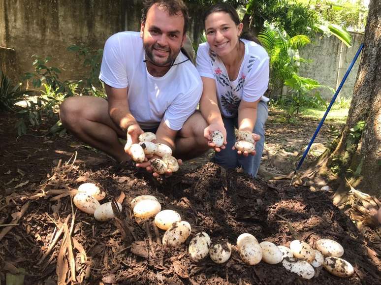 Breno e Milena Almeida com ovos de Jacar&eacute; a&ccedil;u, esp&eacute;cie Melanosuchus niger