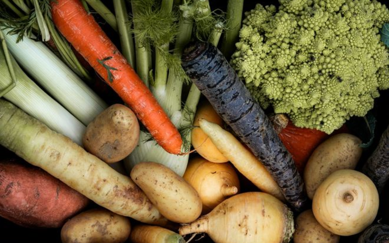 Olivier Tabary/shutterstock