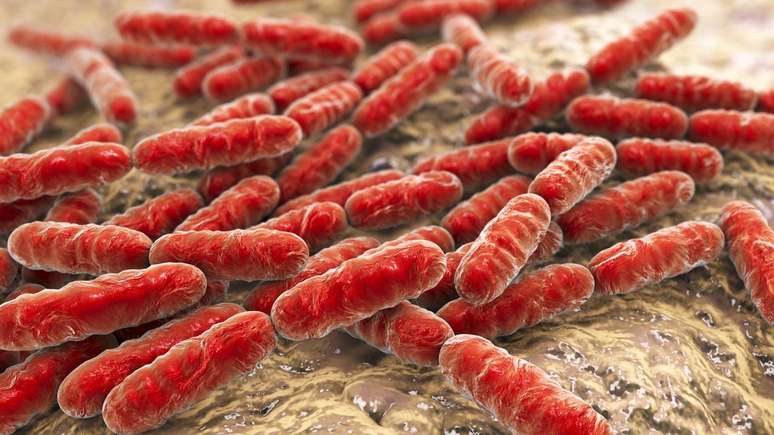 bact&eacute;ria -depositphotos.com / katerynakon