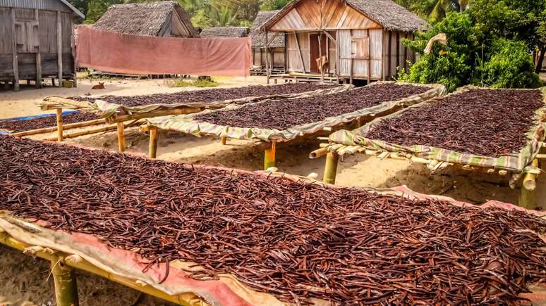 வெண்ணிலா சாகுபடி ஒரு சில நாடுகளில் குவிந்துள்ளது, முக்கியமாக மடகாஸ்கர், இது உலகின் விநியோகத்தில் பெரும்பகுதியைக் கொண்டுள்ளது - depositphotos.com / pawopa3336