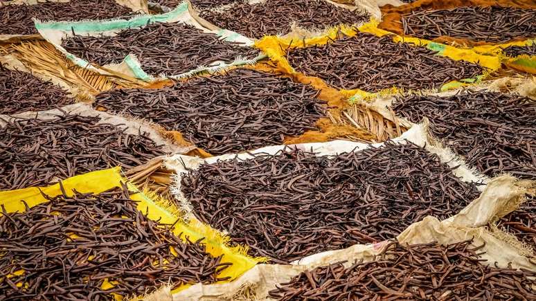 வெண்ணிலா ஒரு உயர் மதிப்புப் பொருளாக இருப்பதால், இடைத்தரகர்கள் மற்றும் ஊக வணிகர்கள் அதிக விலையில் மறுவிற்பனை செய்யலாம் என நம்பி, கையிருப்பில் அதிக அளவில் வாங்கலாம் – depositphotos.com / pawopa3336