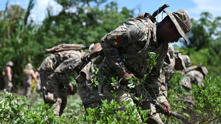 Soldados destroem plantas de coca como parte de um programa para erradicar o excedente das folhas, em Chimor&eacute;, na Bol&iacute;via