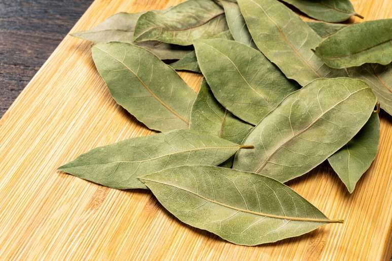 O ritual com louro ajuda a destravar a vida financeira e trazer equil&iacute;brio para as finan&ccedil;as 