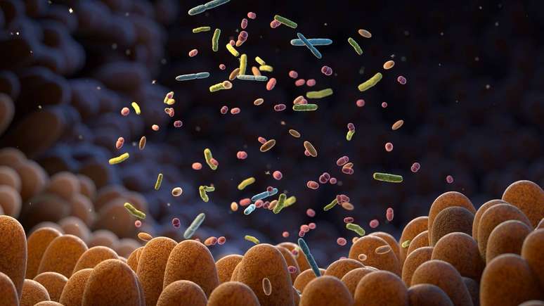 Estudos indicam que certas esp&eacute;cies de bact&eacute;rias tamb&eacute;m ajudam na produ&ccedil;&atilde;o de neurotransmissores, como a serotonina, o GABA e a dopamina, subst&acirc;ncias fundamentais para a regula&ccedil;&atilde;o do humor &ndash; depositphotos.com / iLexx