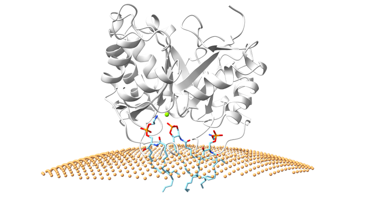Ilustra&ccedil;&atilde;o de uma massa de espirais e fitas cinzas pousadas sobre uma superf&iacute;cie amarela semelhante a uma malha