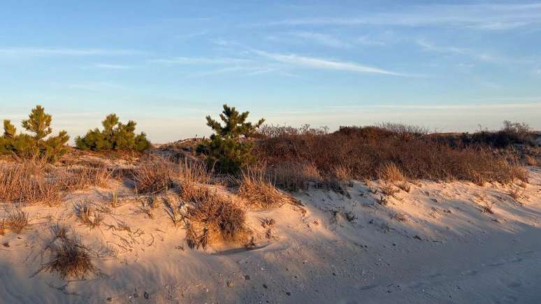 Investigadores encontraram restos mortais de 11 pessoas na vegeta&ccedil;&atilde;o que margeia quil&ocirc;metros de praias isoladas ao longo da Ocean Parkway, em Long Island