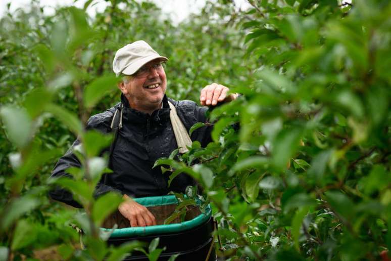 శాస్త్రీయ సంగీతం మొక్కల పెంపకానికి సహాయపడుతుందా? అర్థం చేసుకోండి