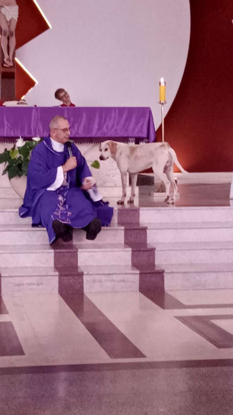 Cachorro caramelo passa a frequentar missas, vira &lsquo;fiel&rsquo; e conquista padre no Paran&aacute;