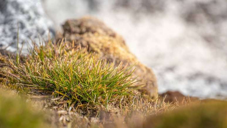 depositphotos.com / Shnurochek13