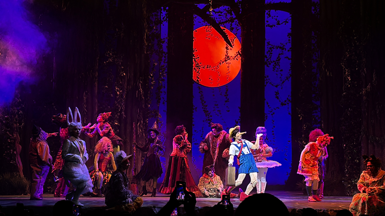 Para levar aos palcos a hist&oacute;ria do ogro mais famoso do cinema, a produ&ccedil;&atilde;o investiu em cen&aacute;rios grandiosos, efeitos especiais e figurinos impressionantes que buscam trazer para a vida real toda a magia do desenho.