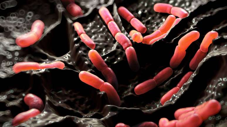 O teste que se baseia no microbioma intestinal funciona de forma indireta. Afinal, em vez de mostrar a imagem do intestino ele analisa sinais biol&oacute;gicos que as bact&eacute;rias deixam e que convivem com o tecido intestinal &ndash; depositphotos.com / PRB ARTS