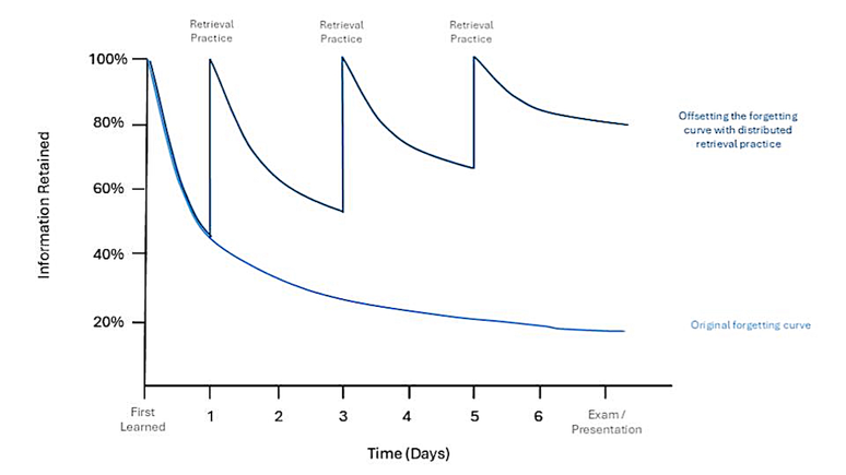 Gr&aacute;fico mostrando como o descanso e a recupera&ccedil;&atilde;o reduzem a taxa de perda de mem&oacute;ria.