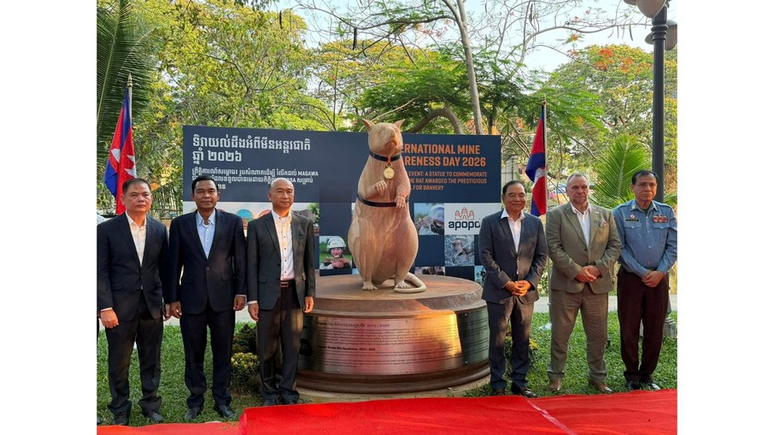 Est&aacute;tua do rato farejador do Camboja &ndash; Divulga&ccedil;&atilde;o